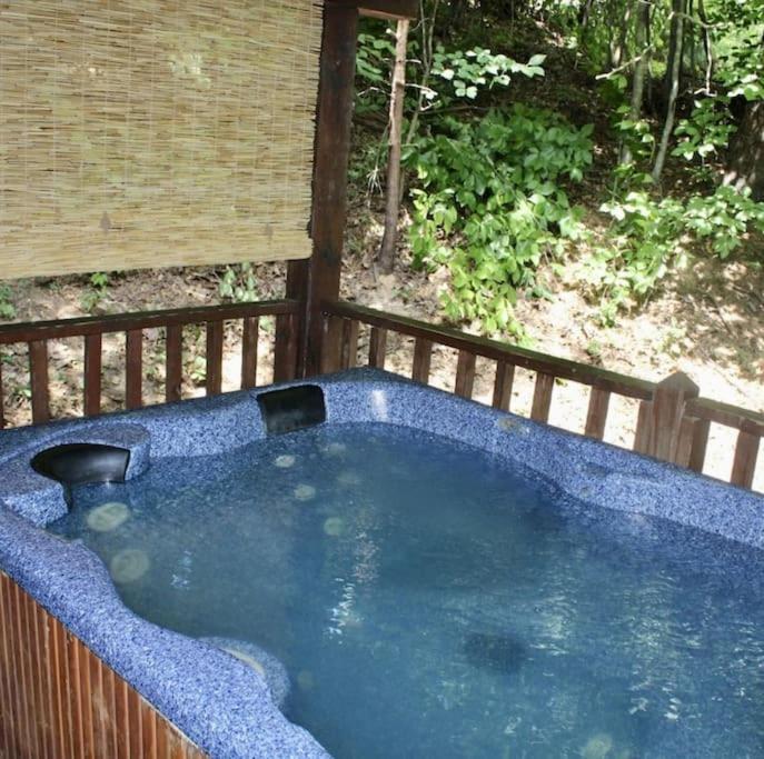 Rustic Black Bear Cabin Pigeon Forge Extérieur photo